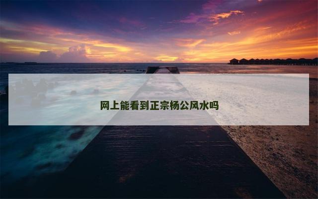 网上能看到正宗杨公风水吗