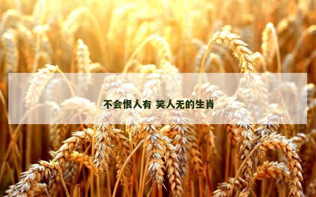 不会恨人有 笑人无的生肖