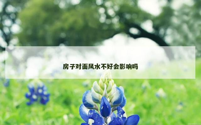 房子对面风水不好会影响吗