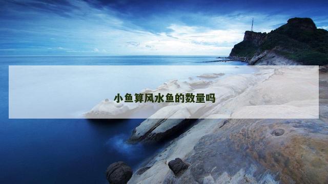 小鱼算风水鱼的数量吗