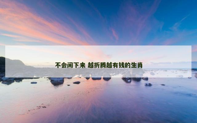 不会闲下来 越折腾越有钱的生肖