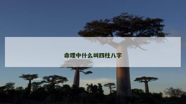 命理中什么叫四柱八字