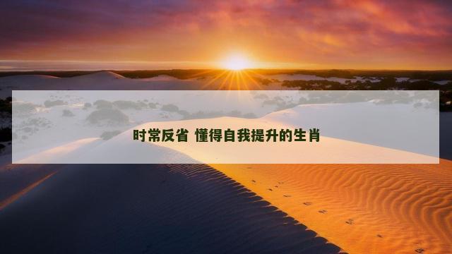 时常反省 懂得自我提升的生肖
