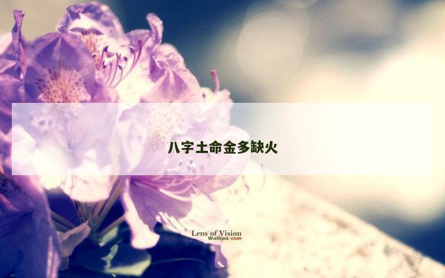 八字土命金多缺火