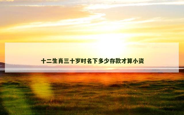 十二生肖三十岁时名下多少存款才算小资