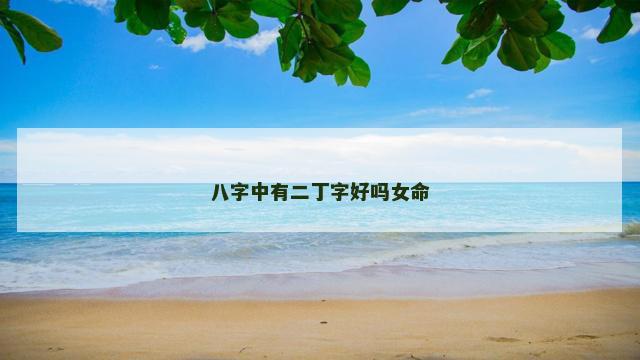 八字中有二丁字好吗女命