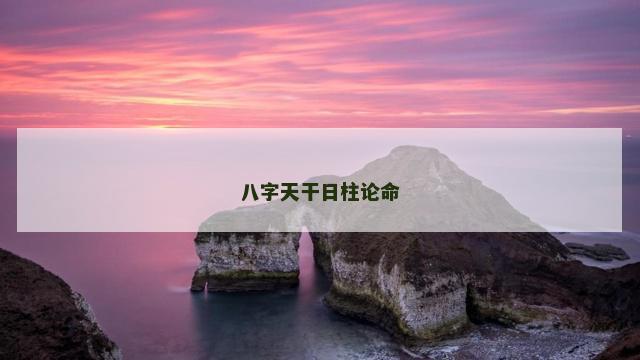 八字天干日柱论命