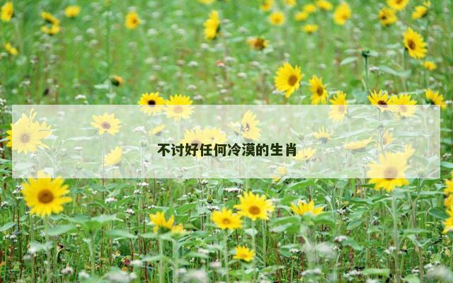 不讨好任何冷漠的生肖