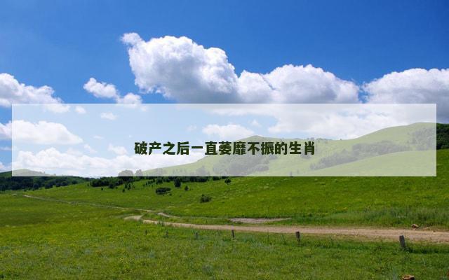 破产之后一直萎靡不振的生肖