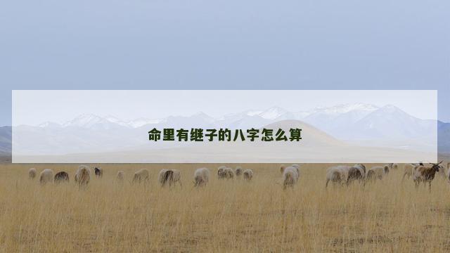 命里有继子的八字怎么算
