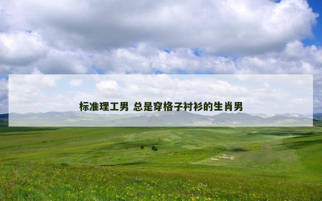 标准理工男 总是穿格子衬衫的生肖男