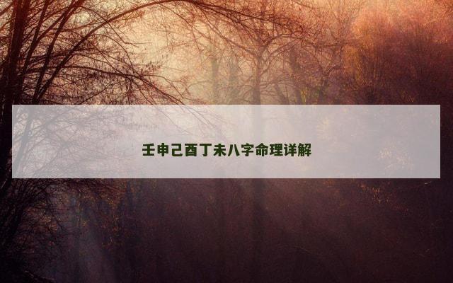 壬申己酉丁未八字命理详解