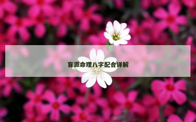盲派命理八字配合详解