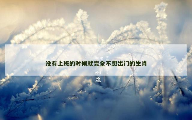没有上班的时候就完全不想出门的生肖