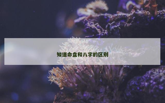 知道命盘和八字的区别
