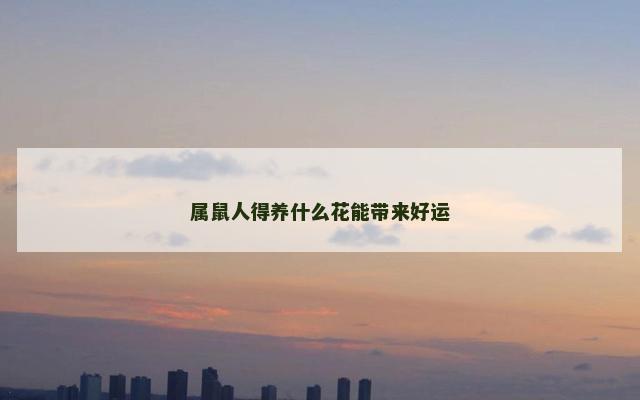 属鼠人得养什么花能带来好运
