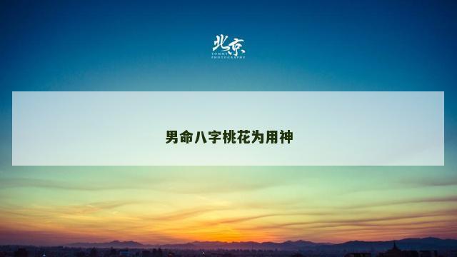 男命八字桃花为用神