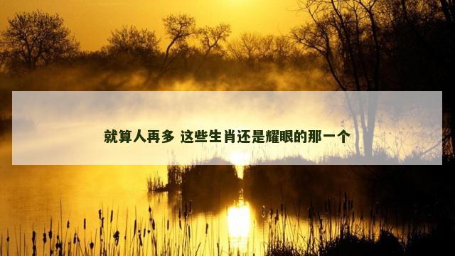 就算人再多 这些生肖还是耀眼的那一个