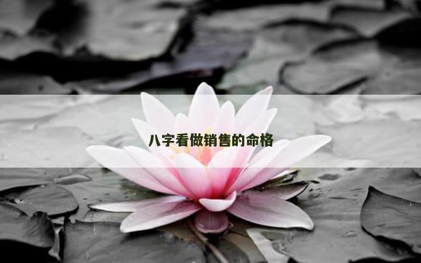 八字看做销售的命格
