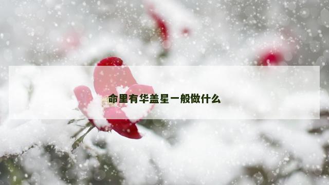 命里有华盖星一般做什么