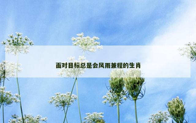 面对目标总是会风雨兼程的生肖