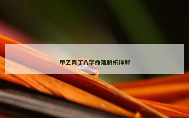 甲乙丙丁八字命理解析详解