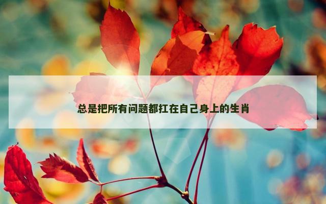 总是把所有问题都扛在自己身上的生肖