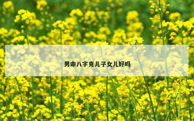 男命八字克儿子女儿好吗
