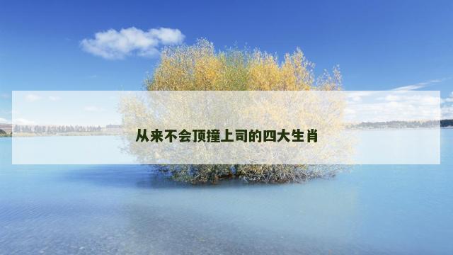 从来不会顶撞上司的四大生肖