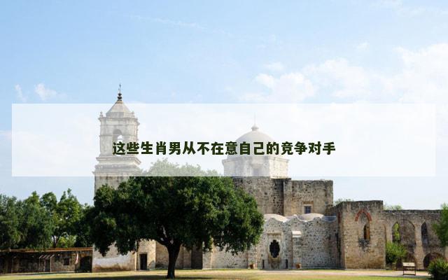 这些生肖男从不在意自己的竞争对手