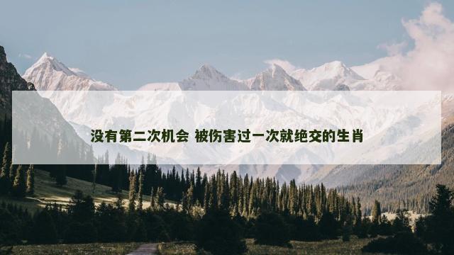 没有第二次机会 被伤害过一次就绝交的生肖
