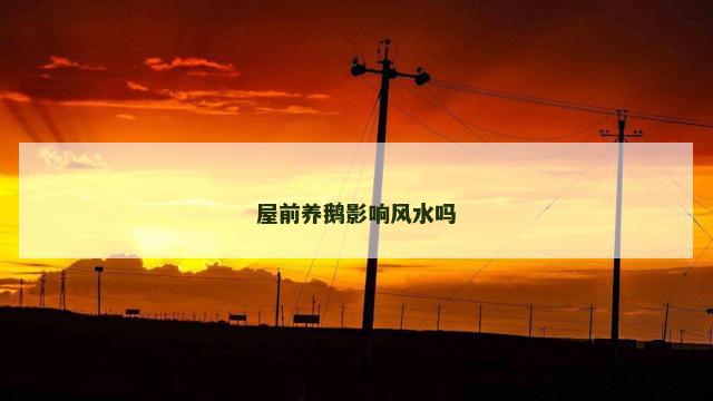 屋前养鹅影响风水吗