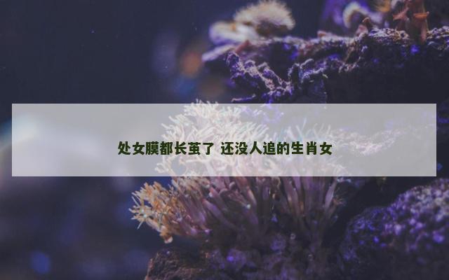 处女膜都长茧了 还没人追的生肖女