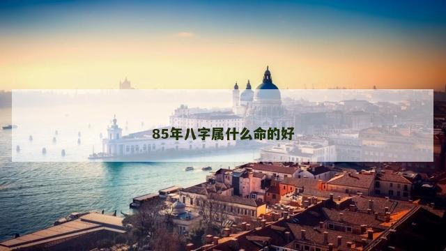 85年八字属什么命的好