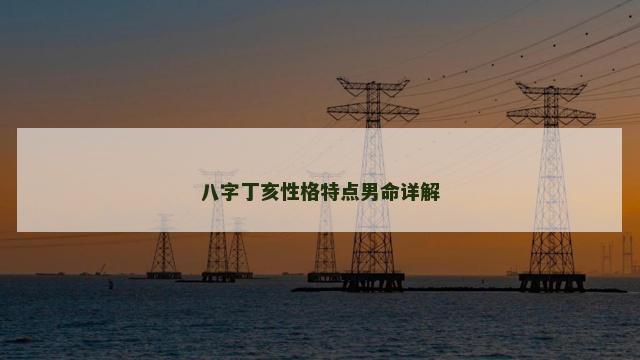 八字丁亥性格特点男命详解