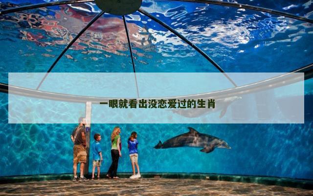 一眼就看出没恋爱过的生肖