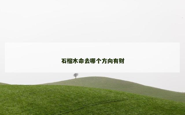 石榴木命去哪个方向有财