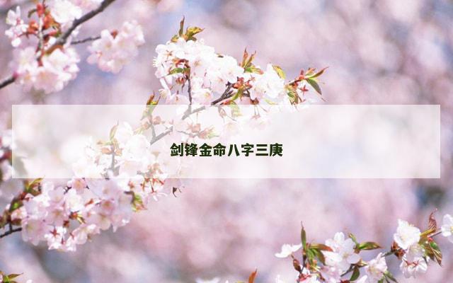 剑锋金命八字三庚