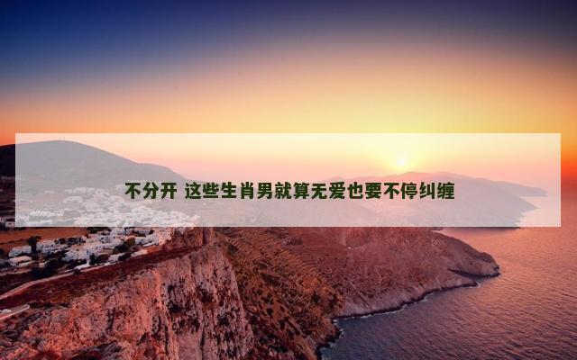 不分开 这些生肖男就算无爱也要不停纠缠