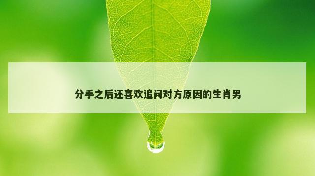 分手之后还喜欢追问对方原因的生肖男