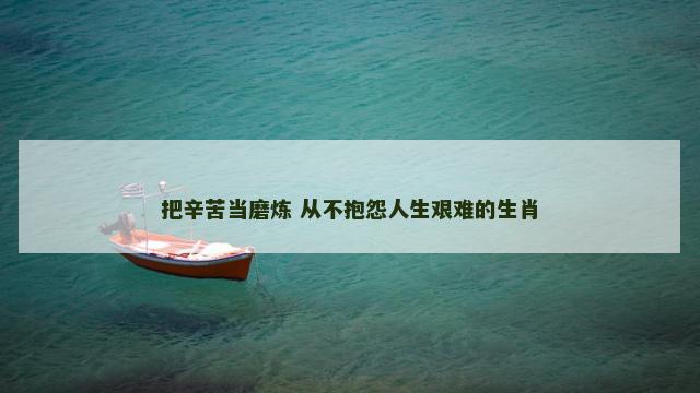 把辛苦当磨炼 从不抱怨人生艰难的生肖