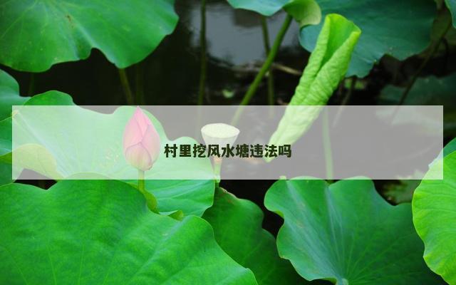 村里挖风水塘违法吗