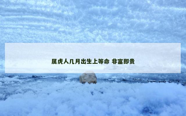 属虎人几月出生上等命 非富即贵