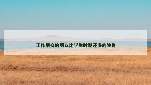 工作后交的朋友比学生时期还多的生肖