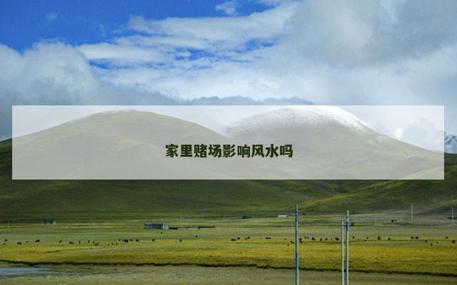 家里赌场影响风水吗