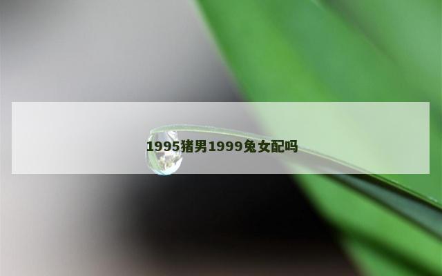 1995猪男1999兔女配吗