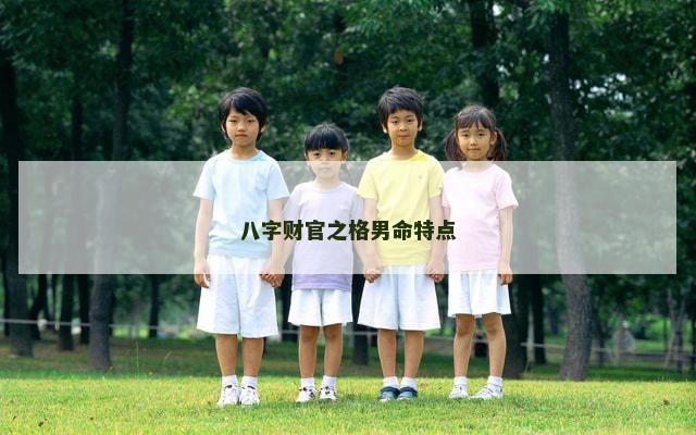 八字财官之格男命特点