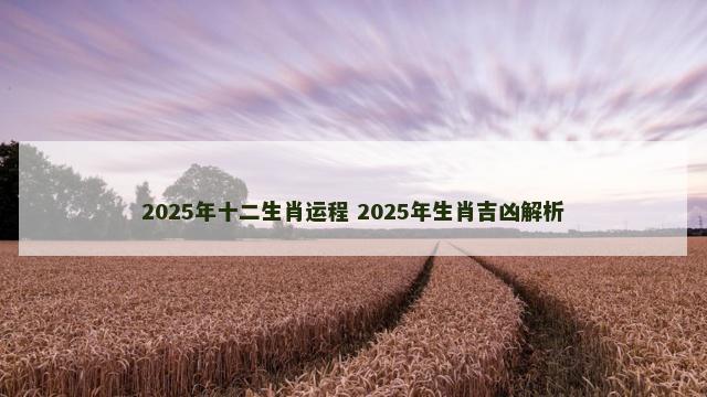 2025年十二生肖运程 2025年生肖吉凶解析