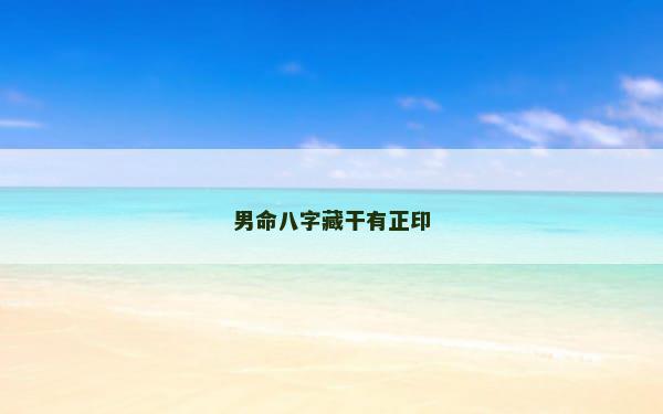 男命八字藏干有正印