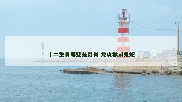十二生肖哪些是野肖 龙虎猴鼠兔蛇